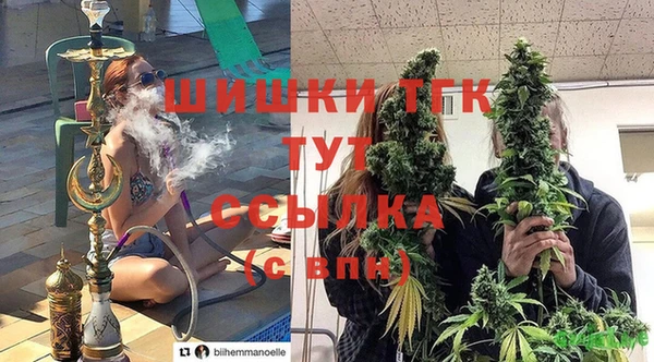 стафф Бронницы