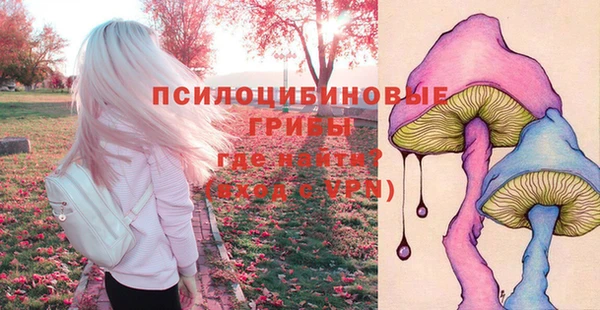 стафф Бронницы