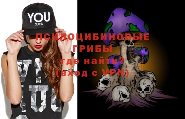 стафф Бронницы