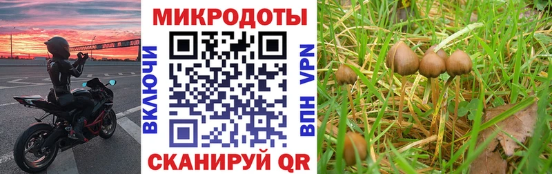 маркетплейс наркотические препараты  Меленки  Псилоцибиновые грибы GOLDEN TEACHER 